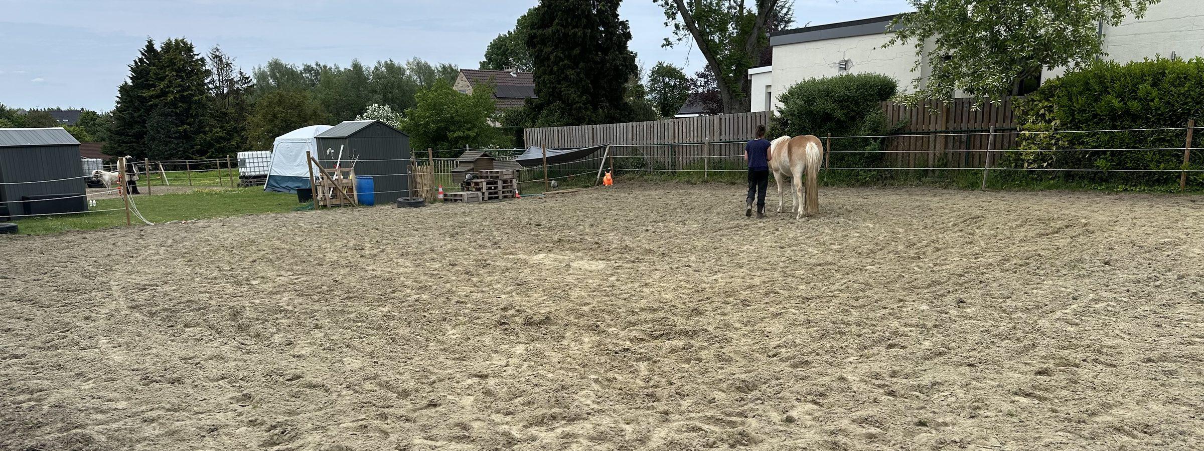 Séance individuelle d'hippothérapie
